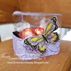 Butterfly Treat Box