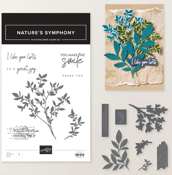 February 2026 Add-on #1 for Quick & Cute Classes