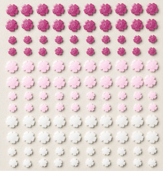 June 2026 Add-on #2 for Quick & Cute Classes