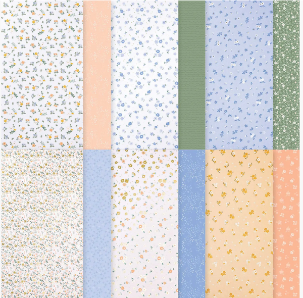 July 2026 Add-on #2 for Quick & Cute Classes
