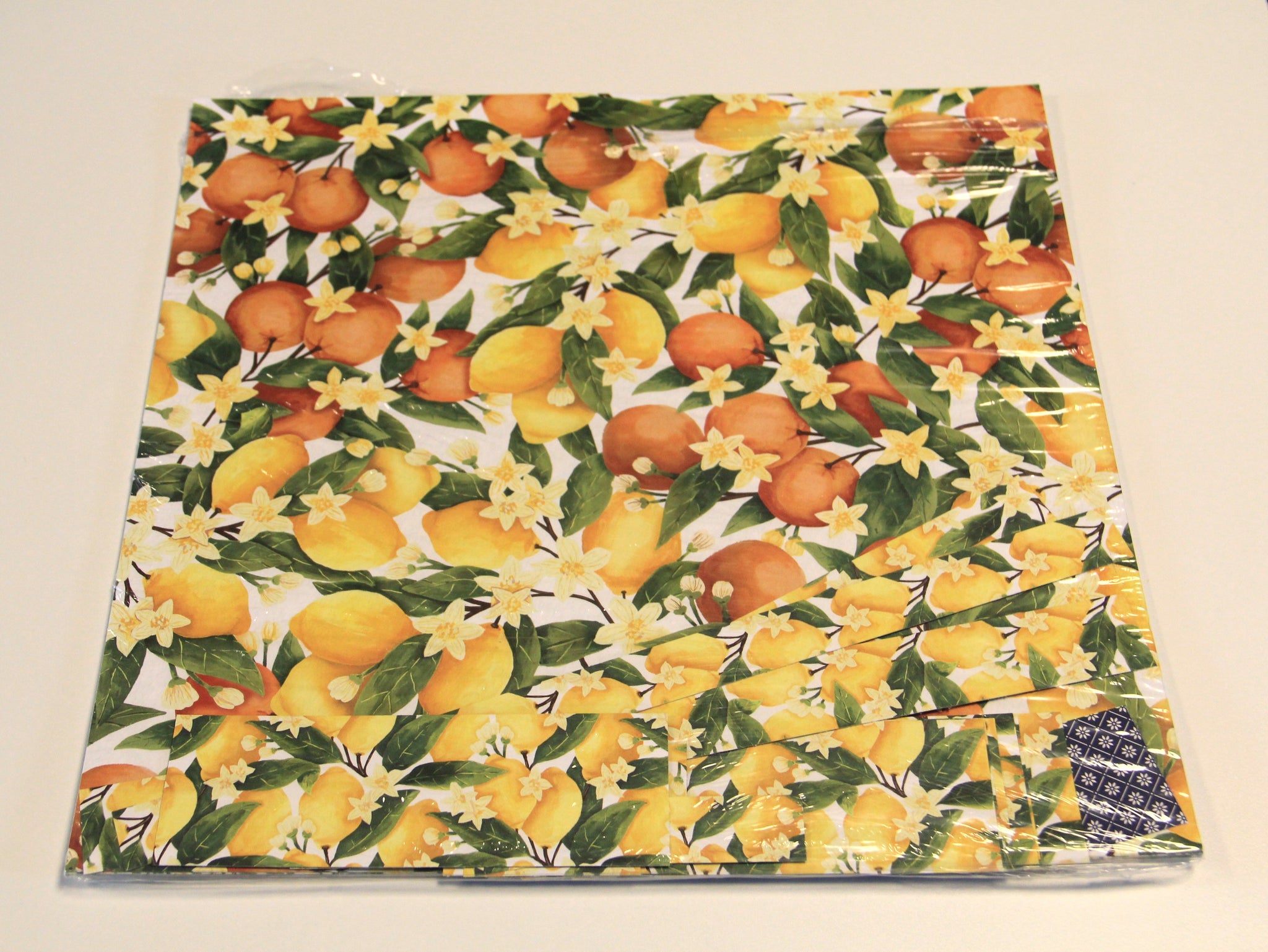 DSP 12" x 12" Mediterranian Blooms