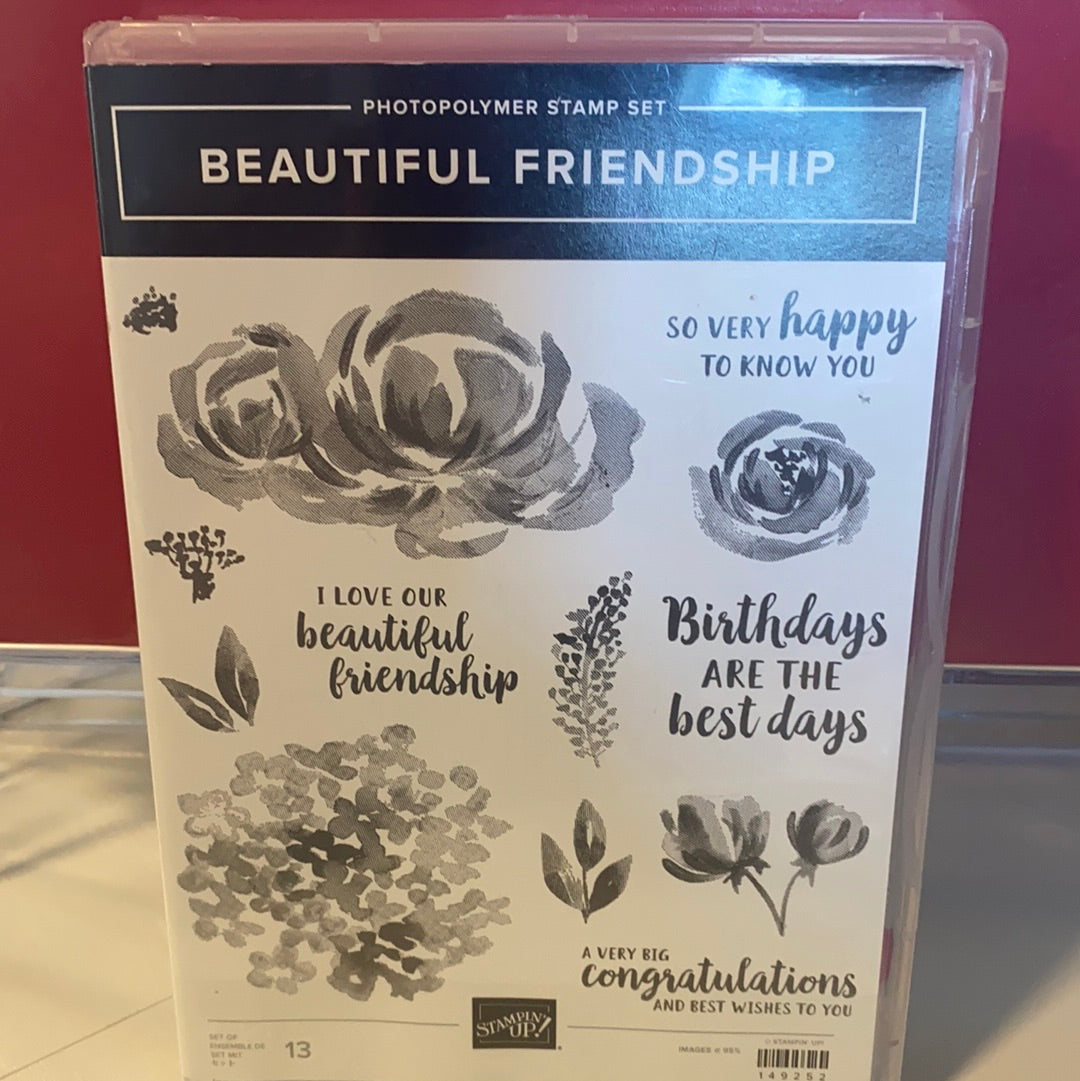 Beautiful Friendship Stamp Set